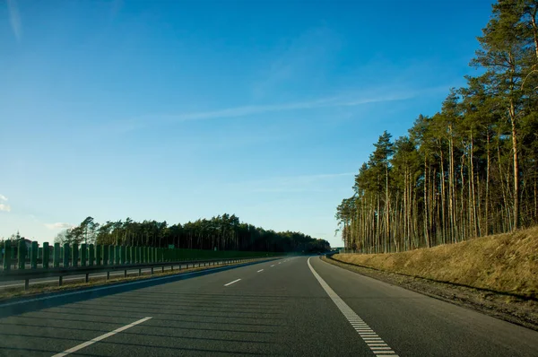 Autostrada Lasem Poboczu Polski — Zdjęcie stockowe