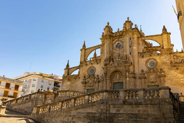 View Cathedral Jerez — Stock Photo, Image