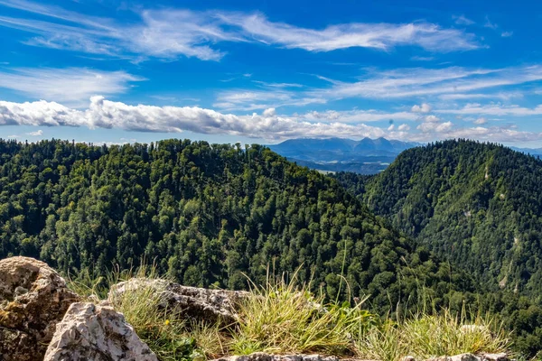 Krásná Krajina Zelených Zalesněných Hor Pod Modrou Oblohou — Stock fotografie