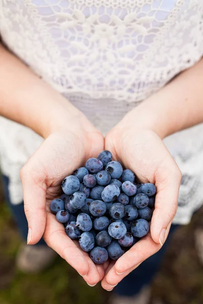 Vertical Shot Person Holding Ripe Fresh Blueberries Park — Stock Photo, Image