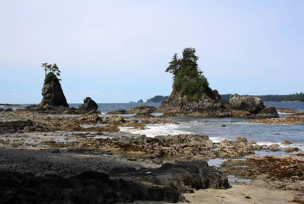 Una Bellissima Spiaggia Rocciosa Bamfield Columbia Britannica Canada — Foto Stock