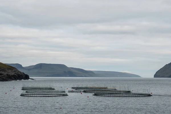 Stock image Fish farming industry Faroe Islands, salmon farm