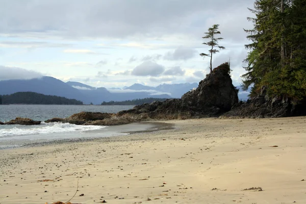 Eine Wunderschöne Meereslandschaft Unter Einem Bewölkten Himmel Bamfield British Columbia — Stockfoto