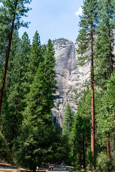 Uma Foto Vertical Trilha Lower Yosemite Falls Parque Nacional Yosemite — Fotografia de Stock