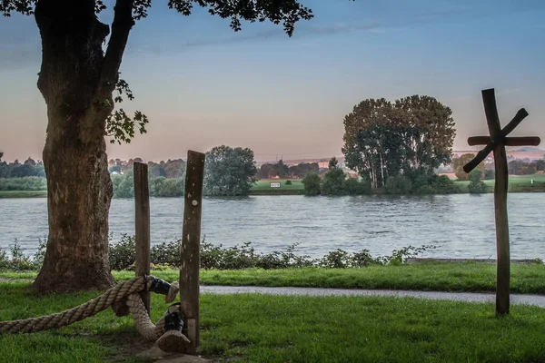Een Pad Langs Rijn Met Bomen Ochtendzon — Stockfoto