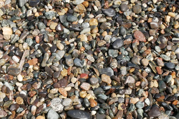 Eine Nahaufnahme Gemischter Kieselsteine Strand — Stockfoto