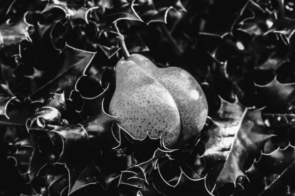 Skala Szarości Świeżych Owoców Gruszki Środku Zielonych Liści — Zdjęcie stockowe