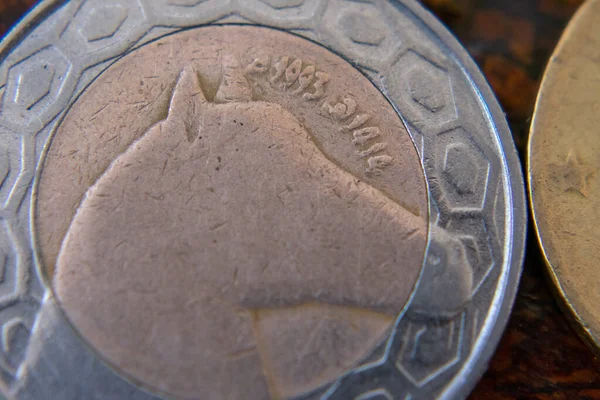 Κοντινό Πλάνο Του Αλγερινού Μετάλλου Νομίσματος — Φωτογραφία Αρχείου