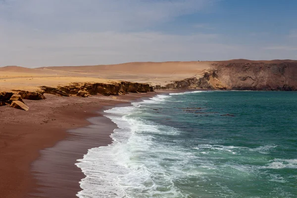 Beaches Paracas Desert Ica Peru — Stock Photo, Image