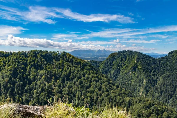 Прекрасний Краєвид Зелених Лісистих Гір Під Блакитним Небом — стокове фото