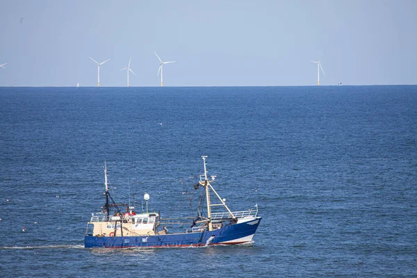 Egmand Aan Zee Nizozemsko Července 2019 Řezačka Garnátů Severním Moři — Stock fotografie