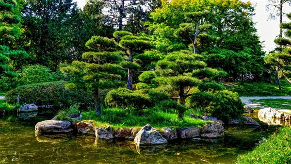 Uma Vista Incrível Jardim Japonês Dusseldorf — Fotografia de Stock