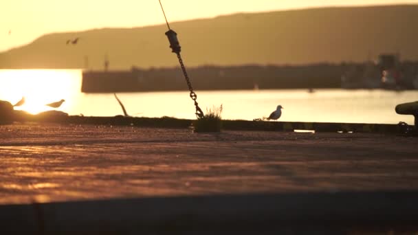 Fishing Net Beach — Stock Video