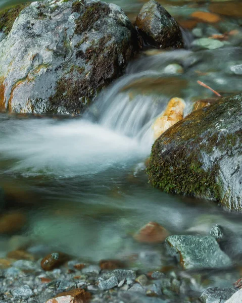 Ein Schöner Blick Auf Einen Fluss Einem Wald Mit Vielen — Stockfoto