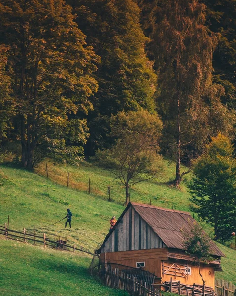 Kaunis Kuva Talosta Metsässä — kuvapankkivalokuva