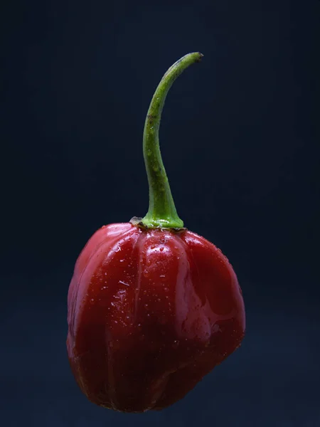 Närbild Röd Paprika — Stockfoto