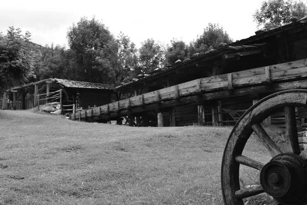 Сірий Знімок Старого Колеса Візка Фермі — стокове фото