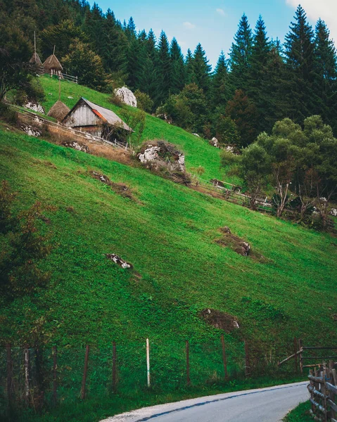Egy Gyönyörű Kép Egy Házról Erdőben — Stock Fotó