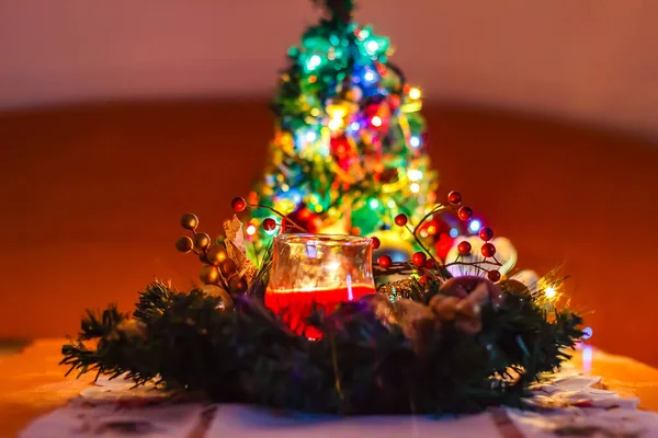 一棵小圣诞树的特写 — 图库照片