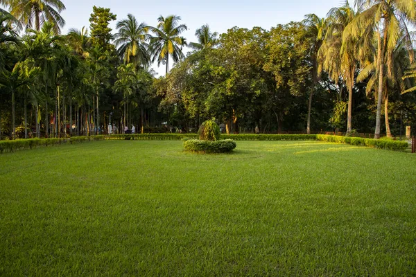 Los Árboles Parque — Foto de Stock