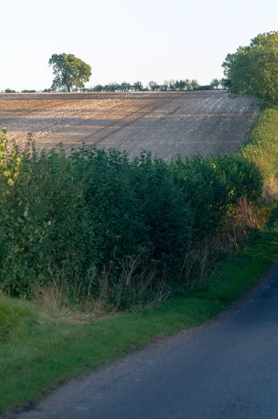 Plano Vertical Del Hermoso Paisaje Rural Verano Burnham North Lincolnshire —  Fotos de Stock