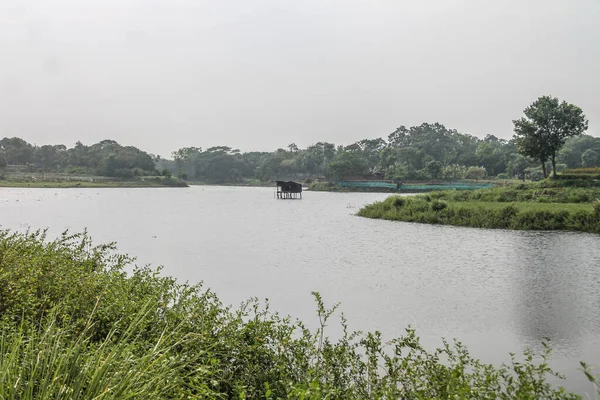 Uma Bela Vista Rio Fluindo Cercado Por Verdes Campo — Fotografia de Stock