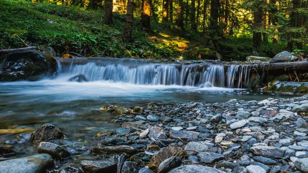 Krásný Výhled Řeku Lese Mnoha Skalami — Stock fotografie