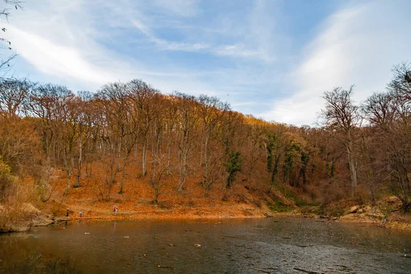 Jezioro Pobliżu Drzew — Zdjęcie stockowe