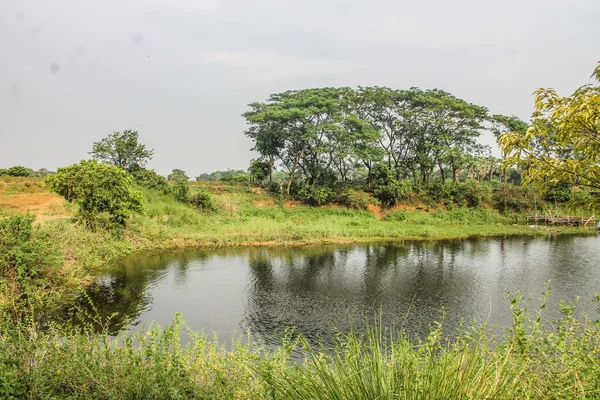 Прекрасний Вид Тече Річку Оточену Зеленню Сільській Місцевості — стокове фото