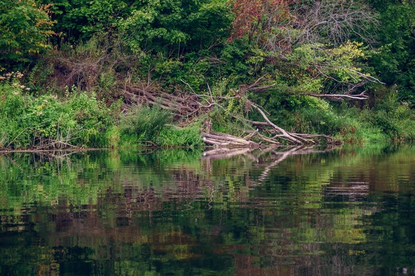 Beau Plan Rivière Canoë Minija Lituanie — Photo