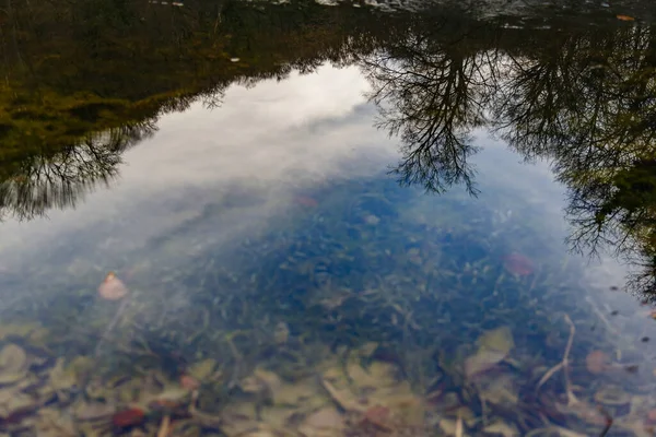 Ein See Mit Spiegelungen Darin — Stockfoto