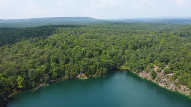 Malebný Výhled Jezero Mezi Nekonečnými Lesy Slunečného Dne — Stock video