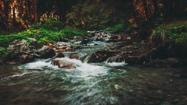 Uma Bela Vista Rio Uma Floresta Com Muitas Rochas — Fotografia de Stock