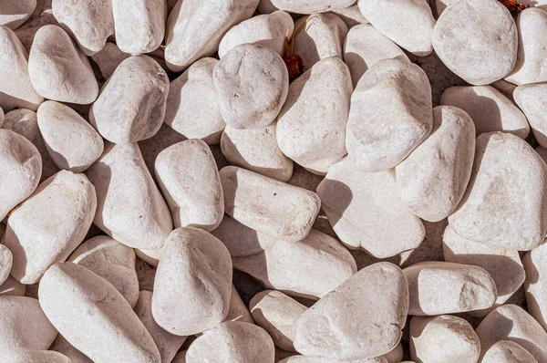 Eine Nahaufnahme Von Weißen Kleinen Steinen — Stockfoto