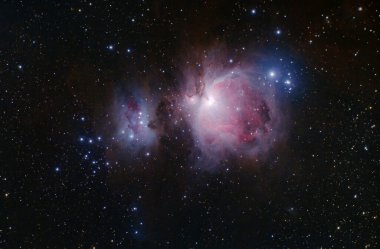 Orion Nebula in the Constellation of Orion clipart