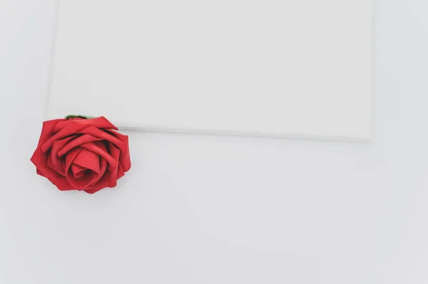 红色玫瑰头 白色的空白帆布上有文字空间 — 图库照片