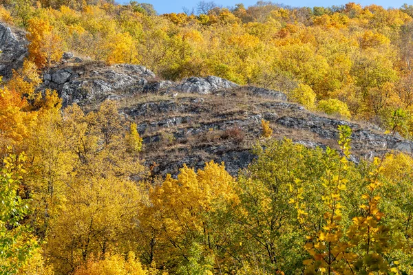 Красивый Осенний Пейзаж Леса Гор Желтой Листвы — стоковое фото