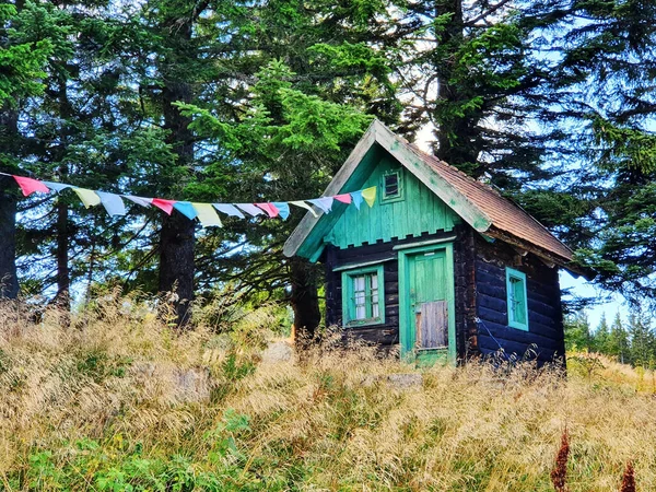 Uma Pequena Casa Azul Floresta Com Altas Árvores Verdes Meio — Fotografia de Stock