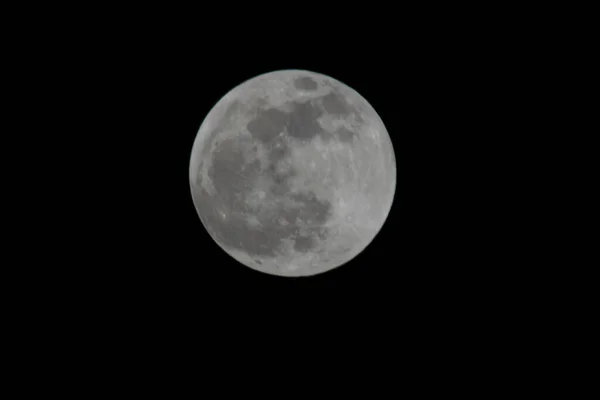 Piękny Widok Pełnię Księżyca Nocy — Zdjęcie stockowe