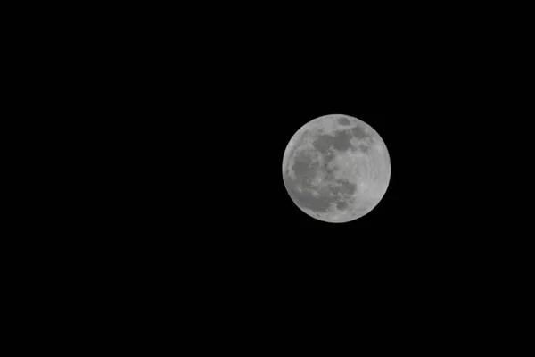 夜晚满月的美丽景色 — 图库照片