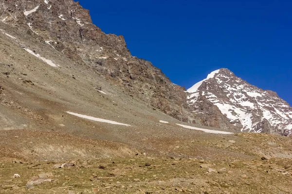 Schneebedeckte Himalaya Berggipfel Felsigen Gelände Eines Abgelegenen Tals Der Zanskar — Stockfoto