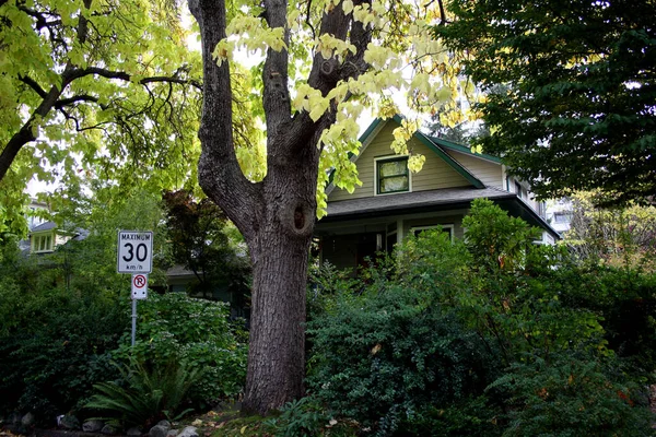 緑に囲まれた交通標識と家 — ストック写真