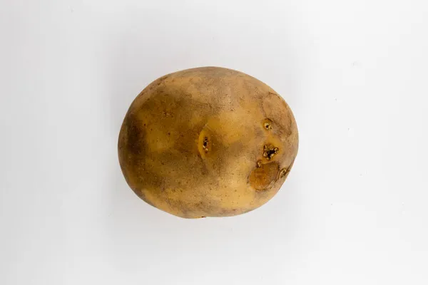 在白色背景上孤立的土豆的顶部视图 — 图库照片