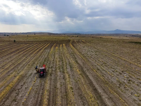 Luchtfoto Van Een Veld Met Landbouwmachines — Stockfoto