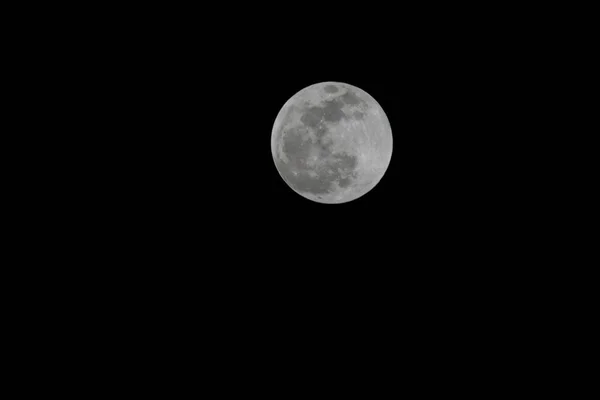 夜晚满月的美丽景色 — 图库照片