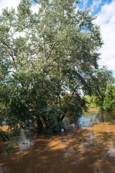 Fiume Mosella Inondato Alcune Parti Della Città Treviri Cambiamento Climatico — Foto Stock