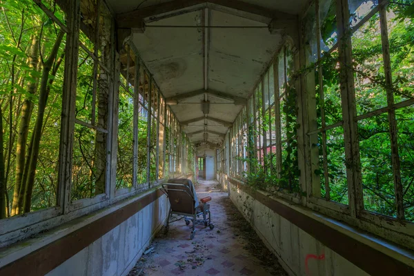 Wheelchair Hallway Abandoned Sanatorium Overgrown Ivy Lost Place Urban Exploration — Stock Photo, Image