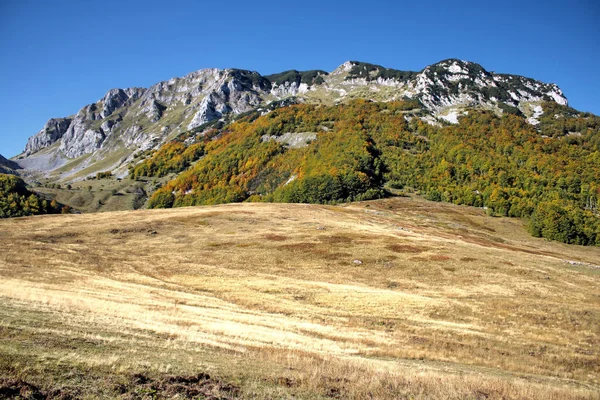 Ett Vackert Landskap Skogsklädda Berg Den Blå Himlen — Stockfoto