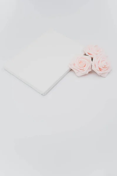 Pink Rose Flower Head Blank Canvas White Text Space — Stock Photo, Image