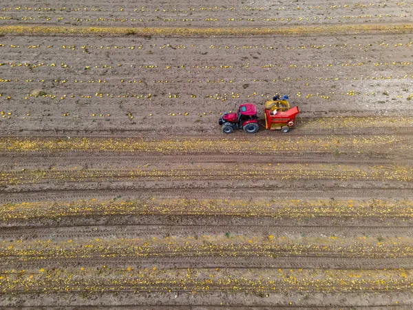 Vista Aérea Tractor Industrial Que Trabalha Terra — Fotografia de Stock